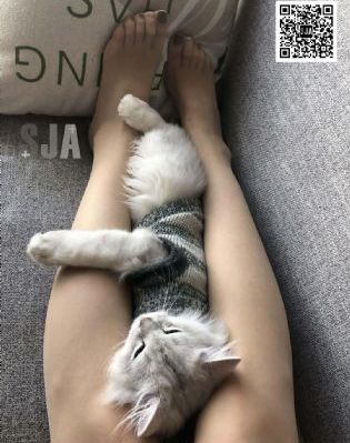 无码喷水视频_蓝光动漫在线观看